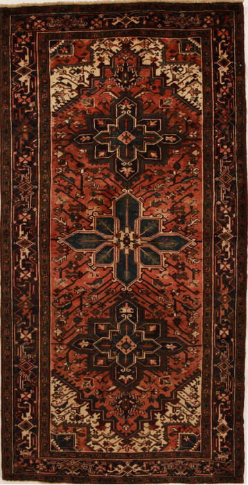Heriz Brown Hand Knotted 48 X 95  Area Rug 250-16007 Image 0