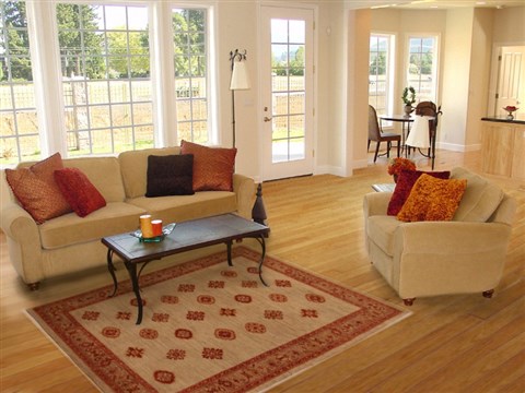Gabbeh Beige Hand Knotted 40 X 63  Area Rug 250-16158 Image 5