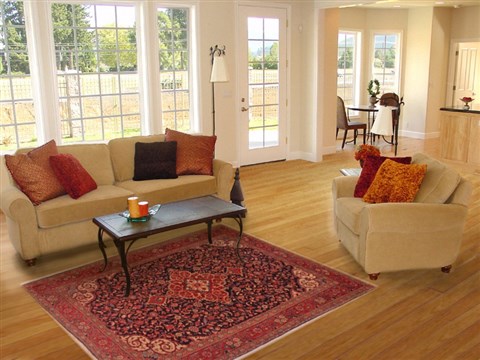 Jozan Blue Hand Knotted 46 X 69  Area Rug 400-16413 Image 5