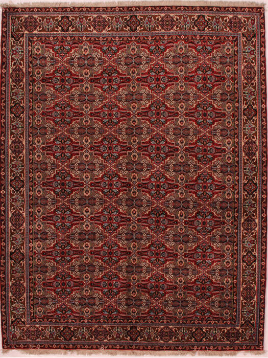 Bidjar Red Hand Knotted 611 X 90  Area Rug 400-16416 Image 0