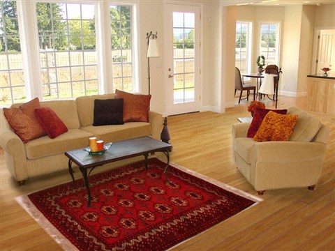 Bokhara Red Hand Knotted 310 X 59  Area Rug 400-16435 Image 5