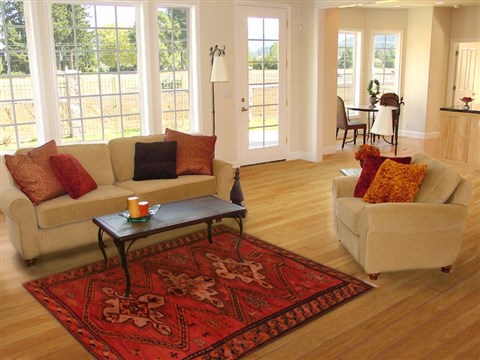 Kashan Red Hand Knotted 50 X 83  Area Rug 400-16502 Image 4