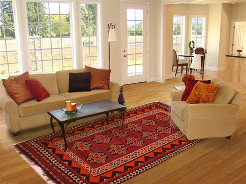 Turkman Red Hand Woven 59 X 90  Area Rug 400-16514 Image 4