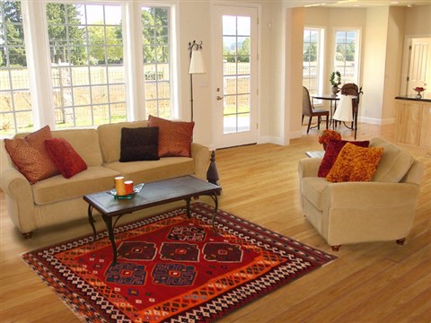 Turkman Red Hand Knotted 50 X 70  Area Rug 400-16519 Image 5
