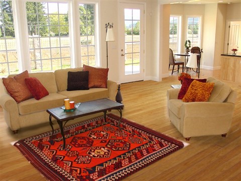 Turkman Orange Hand Knotted 50 X 79  Area Rug 400-16535 Image 4