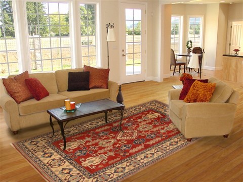 Kazak Red Hand Knotted 71 X 98  Area Rug 250-16564 Image 4