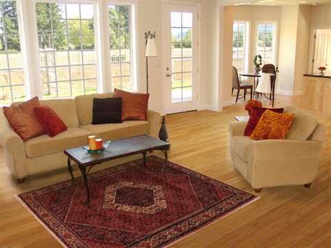 Bidjar Red Hand Knotted 39 X 511  Area Rug 400-16644 Image 5