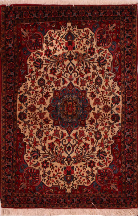 Birjand White Hand Knotted 40 X 55  Area Rug 400-16649 Image 0