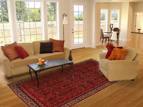 Hamedan Red Hand Knotted 73 X 99  Area Rug 400-16732 Image 2