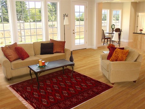 Bokhara Red Hand Knotted 43 X 60  Area Rug 400-16818 Image 5