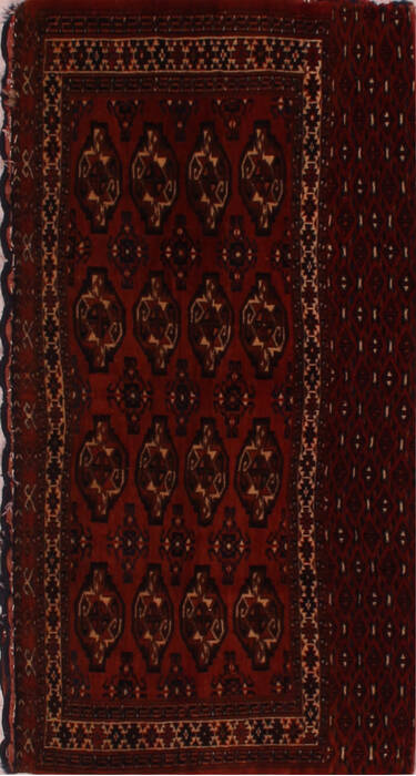 Turkman Brown Hand Knotted 23 X 43  Area Rug 400-16825 Image 0