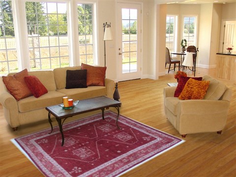 Gabbeh Orange Hand Knotted 55 X 74  Area Rug 250-16861 Image 5
