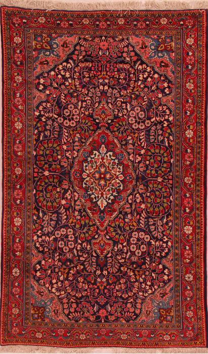 Jozan Red Hand Knotted 45 X 70  Area Rug 400-16920 Image 0