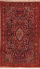 Jozan Red Hand Knotted 45 X 70  Area Rug 400-16920 Thumb 0