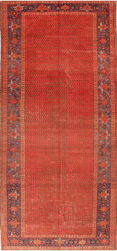Malayer Red Hand Knotted 6'2" X 14'1"  Area Rug 400-16962