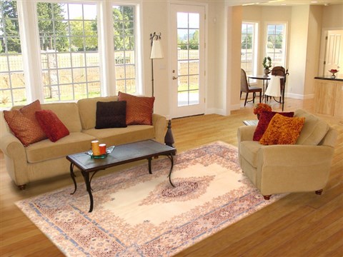 Kerman White Hand Knotted 80 X 109  Area Rug 400-16973 Image 4