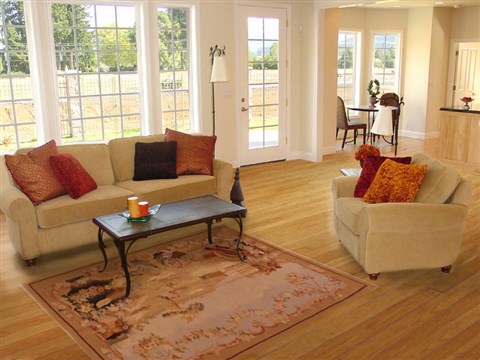 Aubusson Brown Hand Knotted 40 X 510  Area Rug 400-17004 Image 5