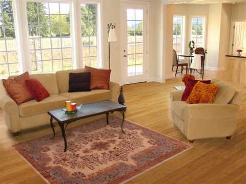 Kerman White Hand Knotted 41 X 63  Area Rug 400-17203 Image 5