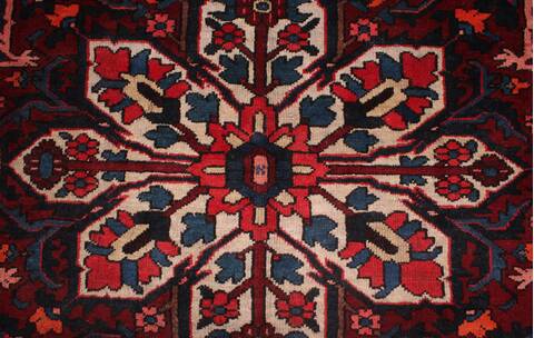 Bakhtiar Red Hand Knotted 102 X 1210  Area Rug 400-17208 Image 10