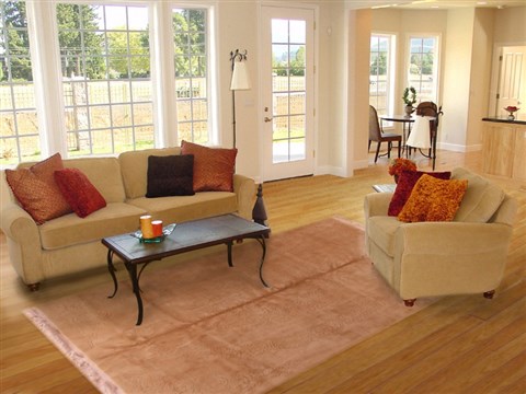 Indo-Nepal Beige Hand Knotted 80 X 110  Area Rug 400-17323 Image 4