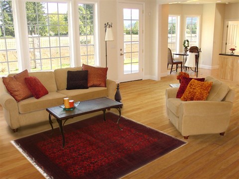 Turkman Red Hand Knotted 39 X 511  Area Rug 250-17396 Image 5