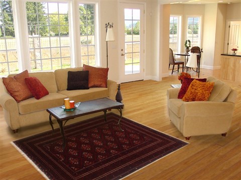 Khan Mohammadi Red Hand Knotted 38 X 57  Area Rug 250-17399 Image 5