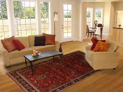 Mashad Red Hand Knotted 711 X 100  Area Rug 250-19651 Image 4