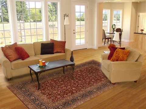 Tabriz Red Hand Knotted 60 X 91  Area Rug 250-19785 Image 4