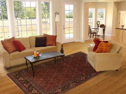 Herati Red Hand Knotted 62 X 810  Area Rug 250-19791 Image 4