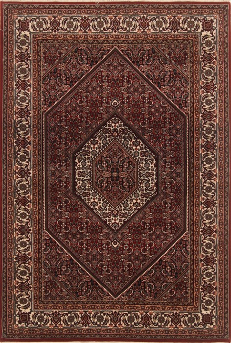 Birjand Red Hand Knotted 40 X 511  Area Rug 250-19866 Image 0