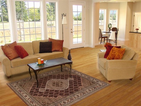 Bidjar Brown Hand Knotted 40 X 61  Area Rug 250-19944 Image 5