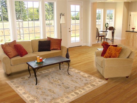 Ziegler Grey Hand Knotted 40 X 63  Area Rug 250-20062 Image 5