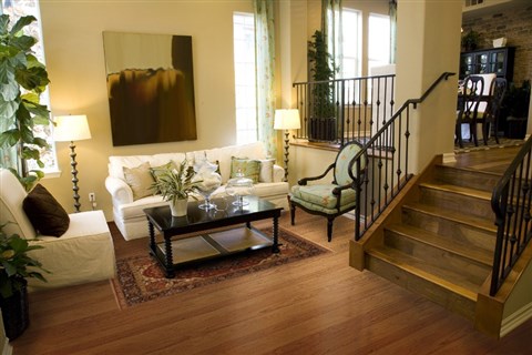 Serapi Brown Hand Knotted 411 X 70  Area Rug 250-20359 Image 4