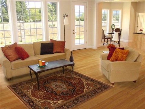 Serapi Brown Hand Knotted 411 X 70  Area Rug 250-20359 Image 5