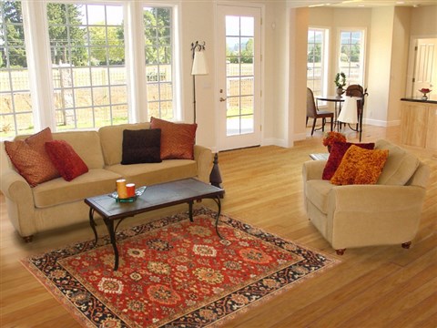 Serapi Red Hand Knotted 50 X 610  Area Rug 250-20424 Image 5