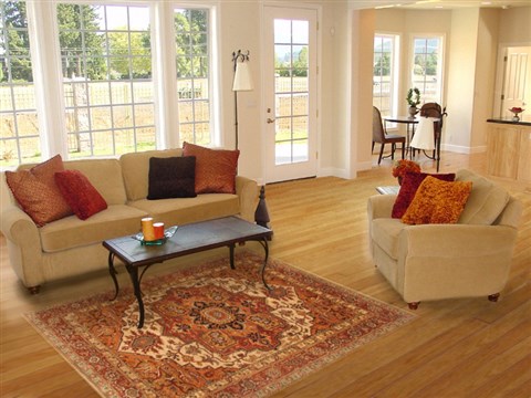 Serapi Brown Hand Knotted 50 X 71  Area Rug 250-20435 Image 5