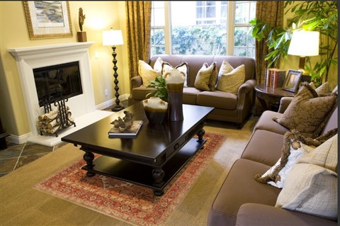 Serapi Brown Hand Knotted 50 X 71  Area Rug 250-20435 Image 3