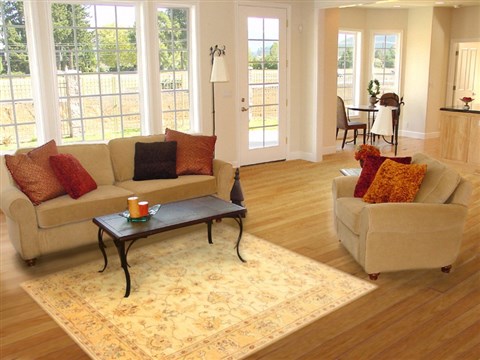 Pishavar Beige Hand Knotted 50 X 67  Area Rug 250-20459 Image 5