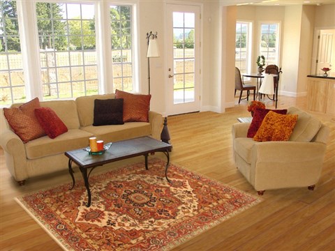 Serapi Brown Hand Knotted 50 X 610  Area Rug 250-20473 Image 5