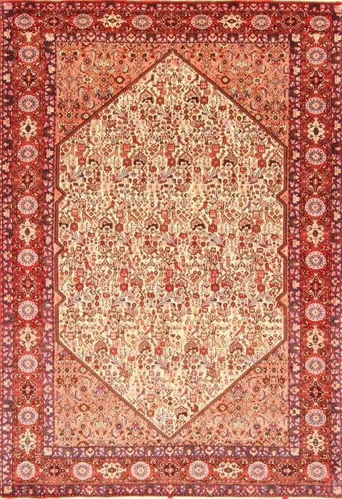 Malayer Brown Hand Knotted 67 X 96  Area Rug 100-20864 Image 0