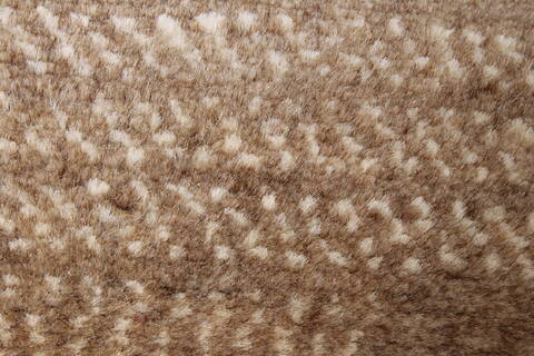 Modern Brown Runner Hand Knotted 27 X 60  Area Rug 250-24856 Image 7