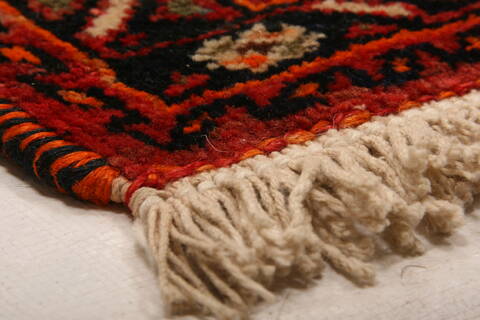 Bakhtiar Multicolor Hand Knotted 410 X 81  Area Rug 100-27456 Image 8