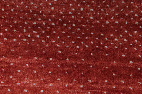 Gabbeh Brown Hand Knotted 30 X 50  Area Rug 250-27663 Image 1