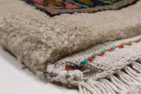 Bidjar Beige Hand Knotted 33 X 410  Area Rug 250-27711 Image 5