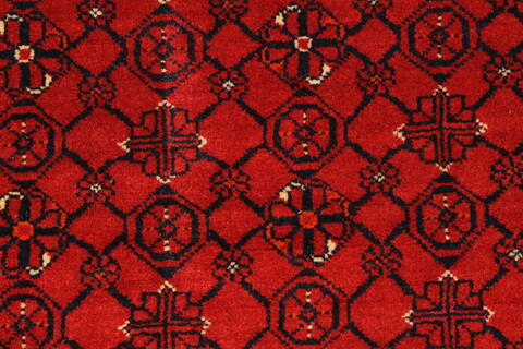 Turkman Blue Hand Knotted 310 X 510  Area Rug 250-28764 Image 2