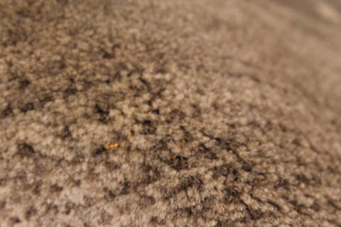 Gabbeh Grey Hand Knotted 27 X 42  Area Rug 250-28947 Image 3
