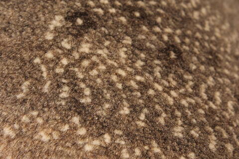 Gabbeh Grey Hand Knotted 26 X 311  Area Rug 250-28959 Image 5