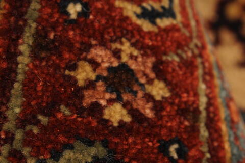 Serapi Beige Hand Knotted 25 X 40  Area Rug 250-29062 Image 6