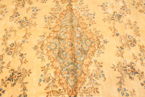 Kerman Beige Hand Knotted 114 X 203  Area Rug 250-30423 Image 6