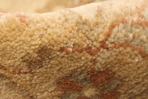 Ziegler Beige Hand Knotted 1510 X 206  Area Rug 250-30660 Image 8